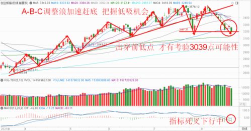 连板勘设股份：预计上半年净亏损万元至万元