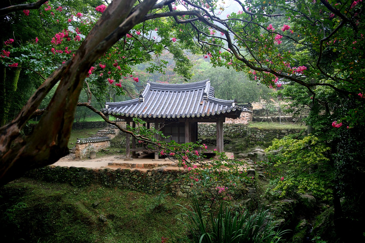 倪夏莲的花园，一片宁静与美丽的绿洲